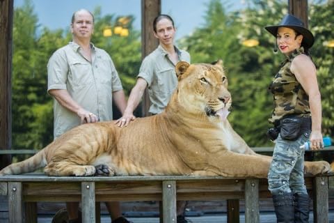 Myrtle Beach Safari (by reservation only)