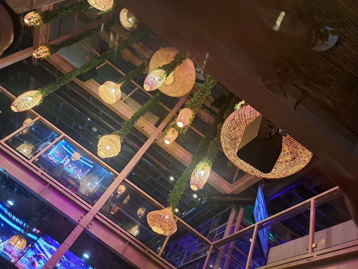 Palapas Destination Lounge