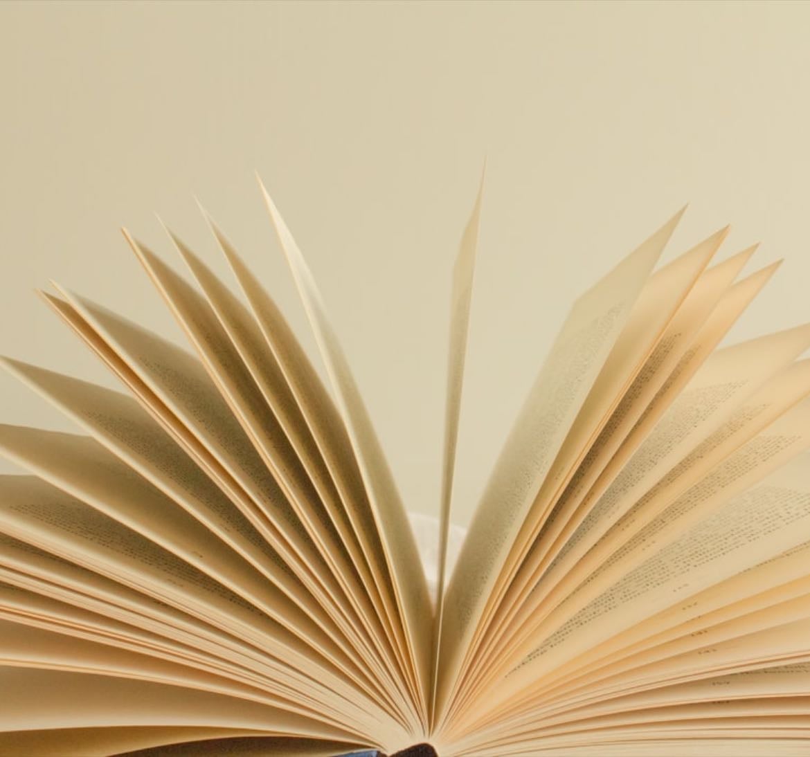 2026 tbr - Books hypelist by francisca vargas