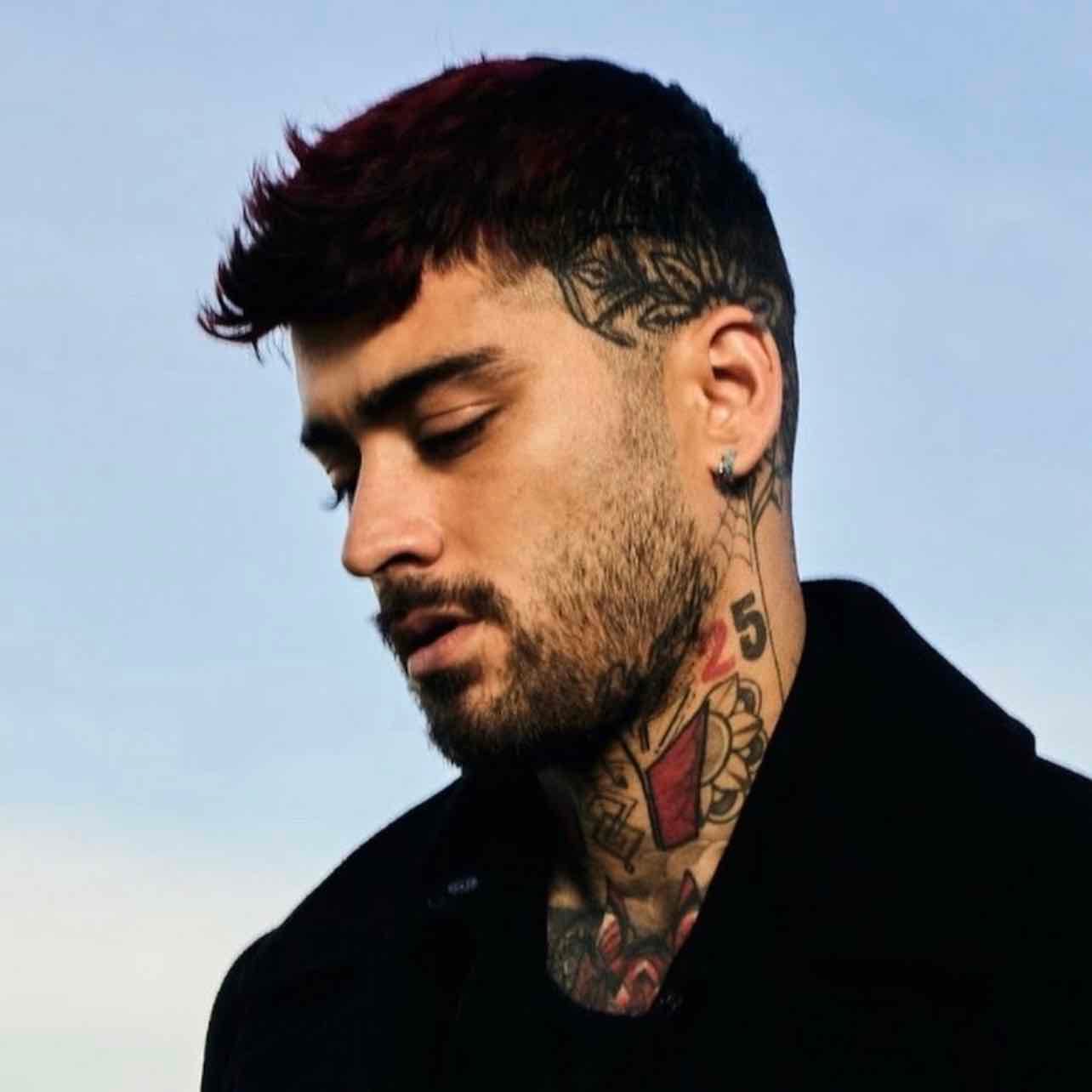 Zayn - Singer/Sonwriter