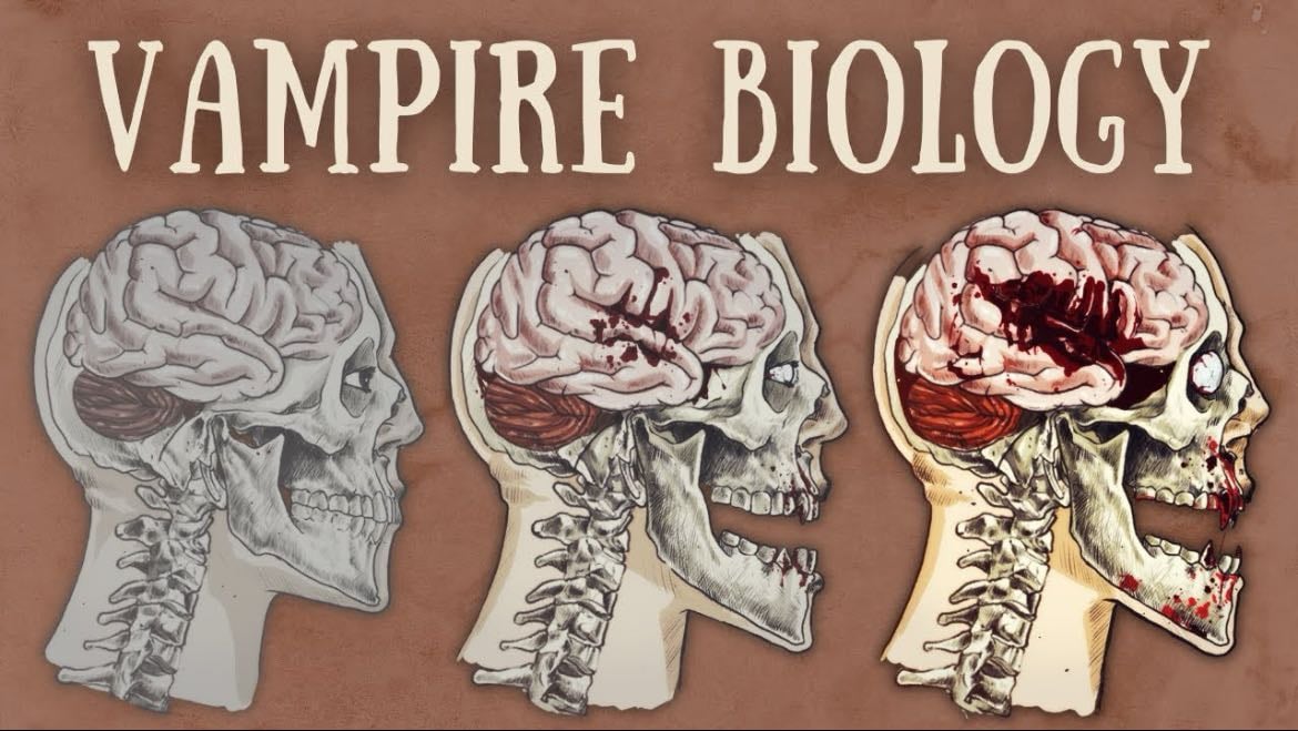 Vampire biology explained - YouTube