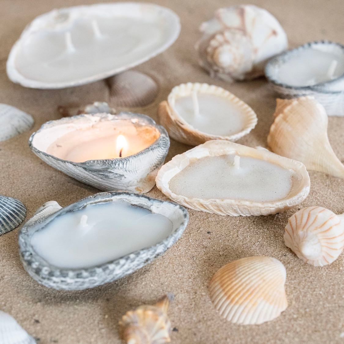 Seashell candles
