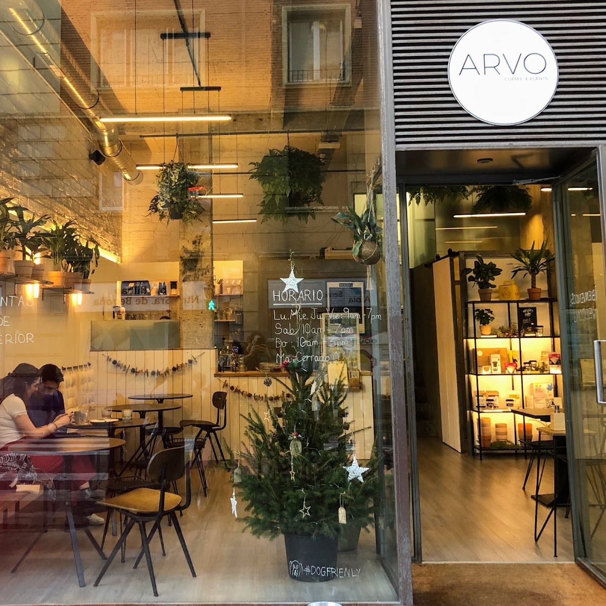 ARVO Specialty Coffee (Guggenheim)