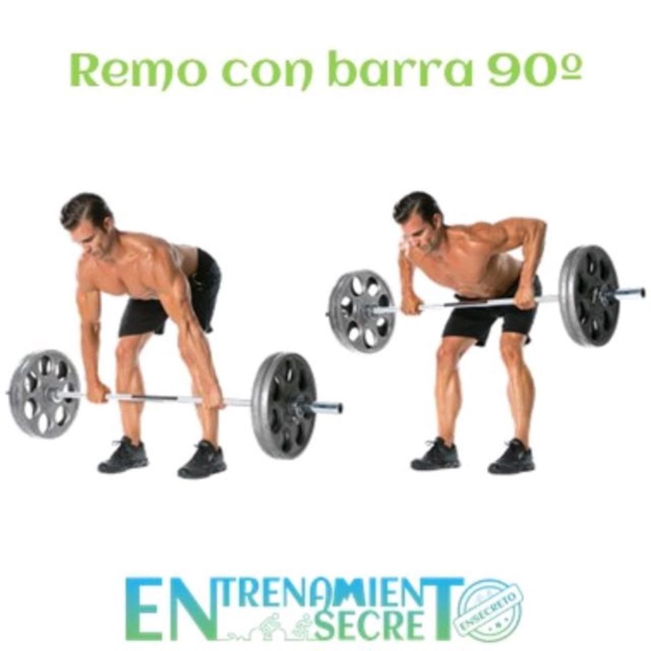 Remo con barra - – 4 series | 8-10 repeticiones | RPE 8