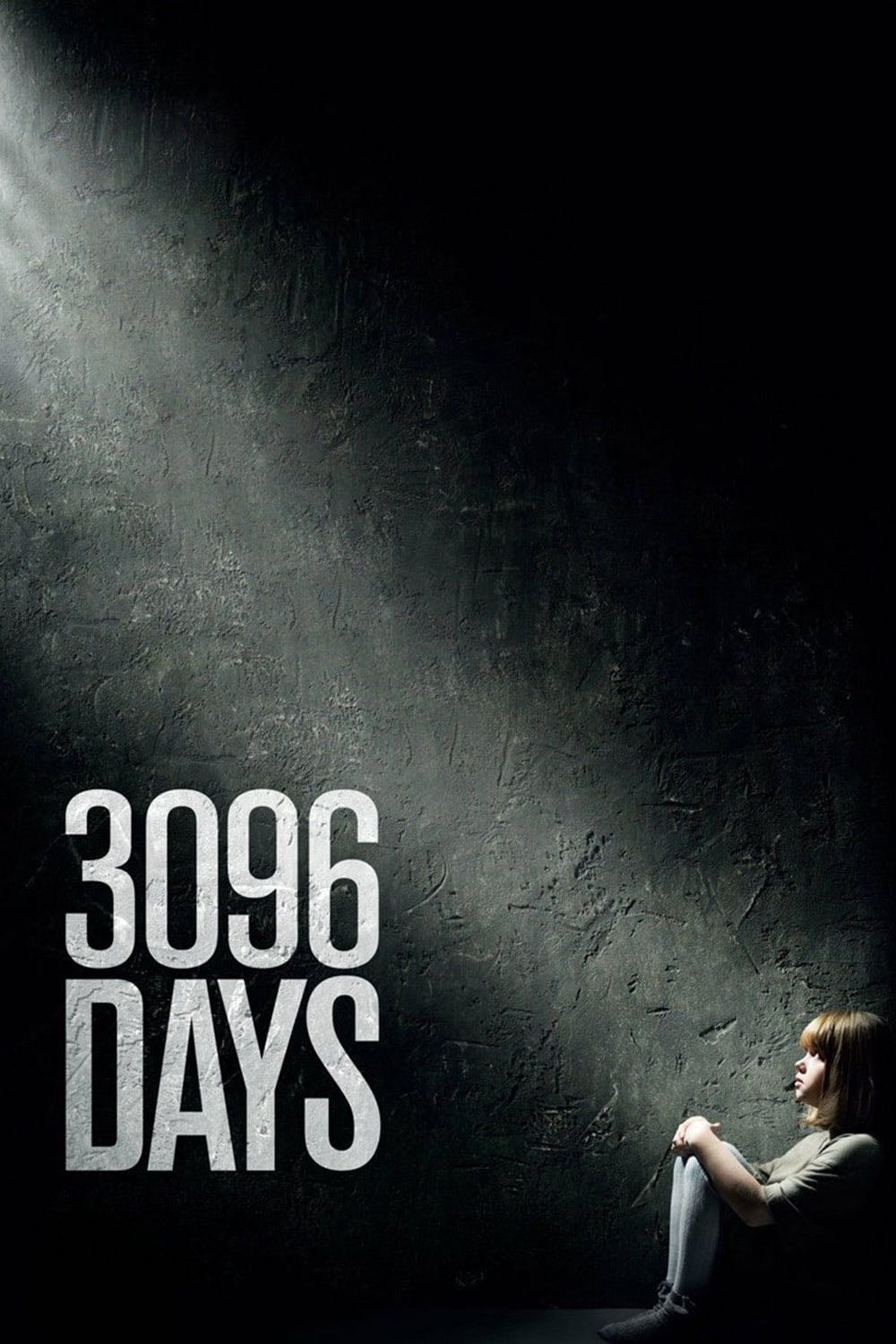 3096 Days - Sherry Hormann · 2013