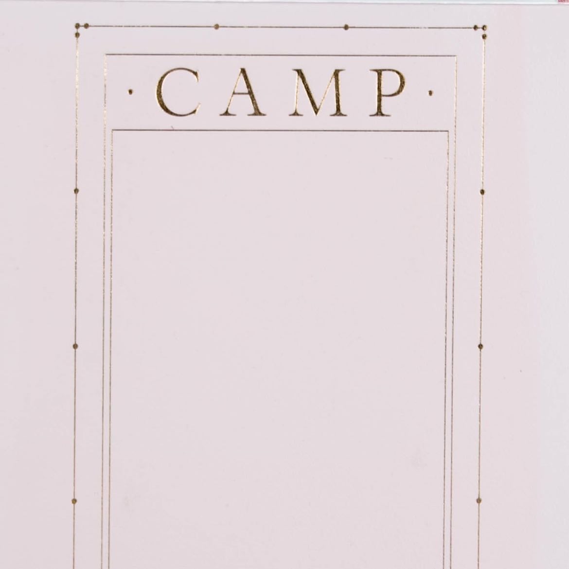 CAMP: Notes on Fashion - Andrew Bolton · 2019