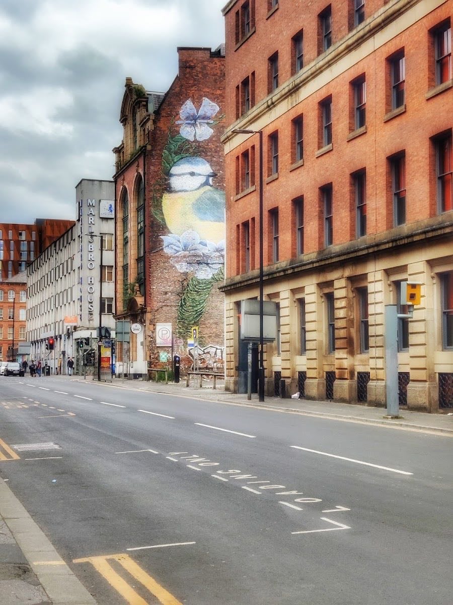 Manchester
