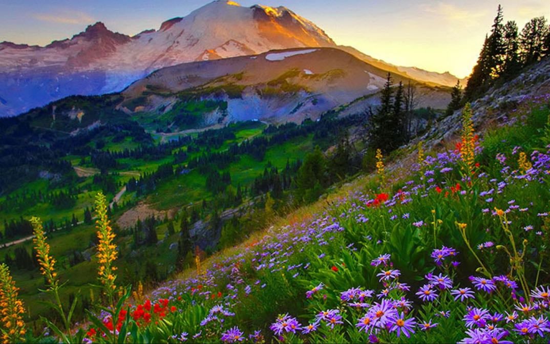 山
