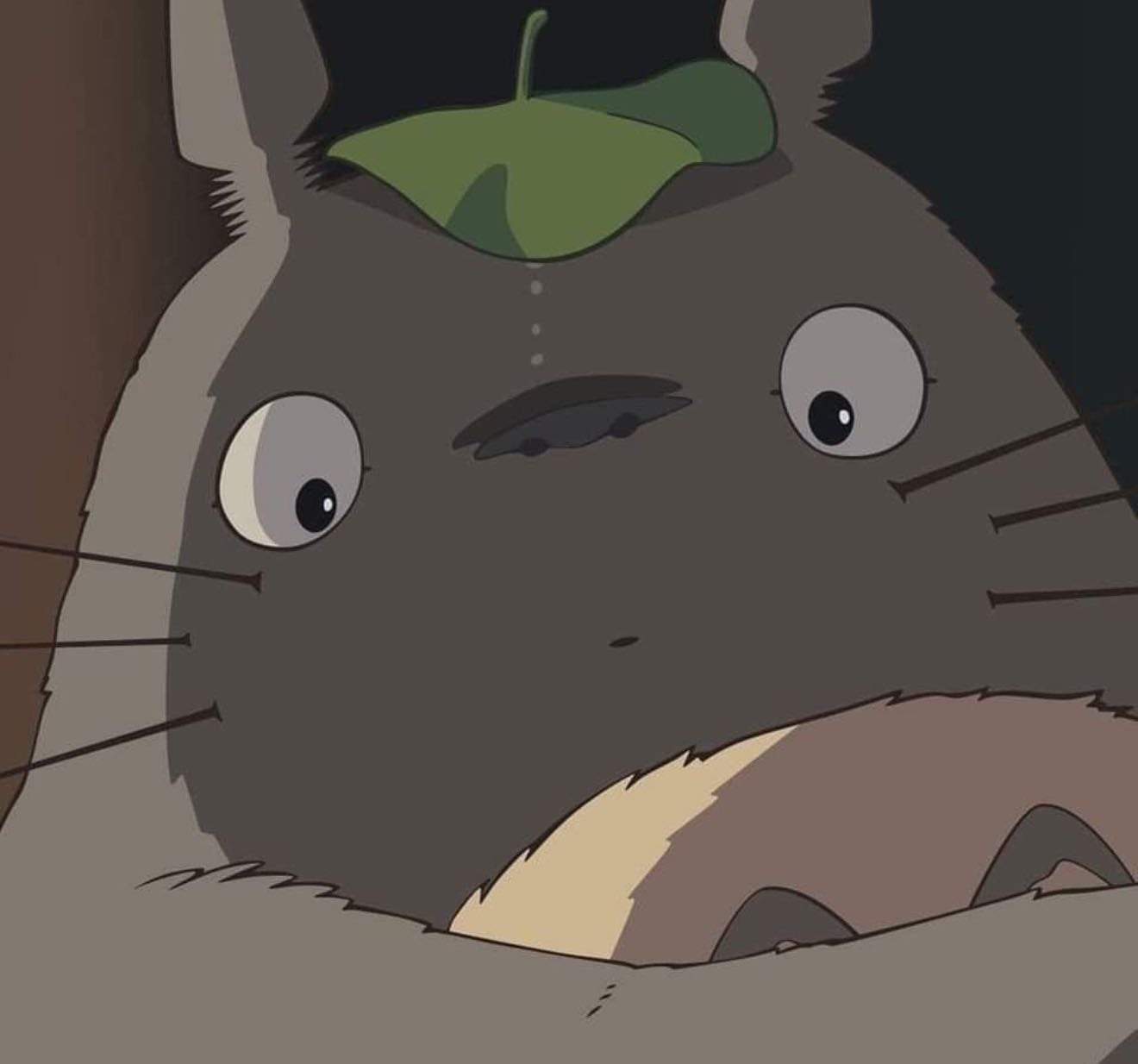 。・°°・anime 2 watch・°°・。