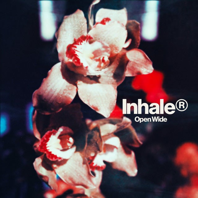 Eddie In The Darkness - Song · Inhaler