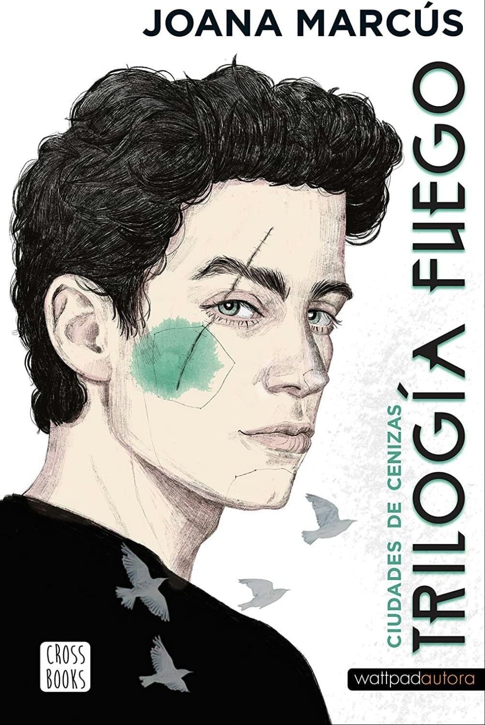 Trilogía Fuego 2 - Joana Marcús · 2022