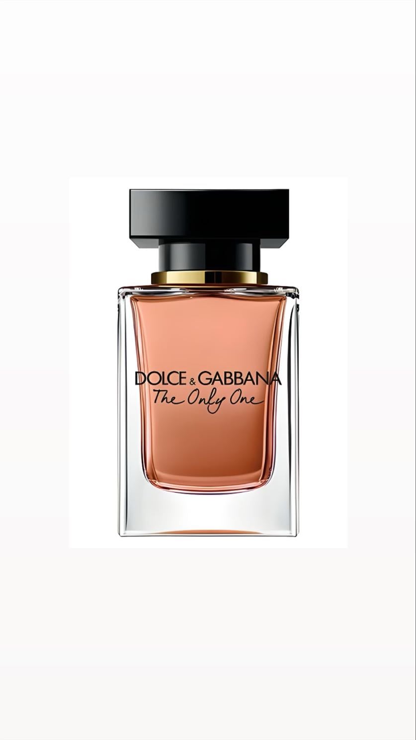 The Only One - Dolce&Gabbana