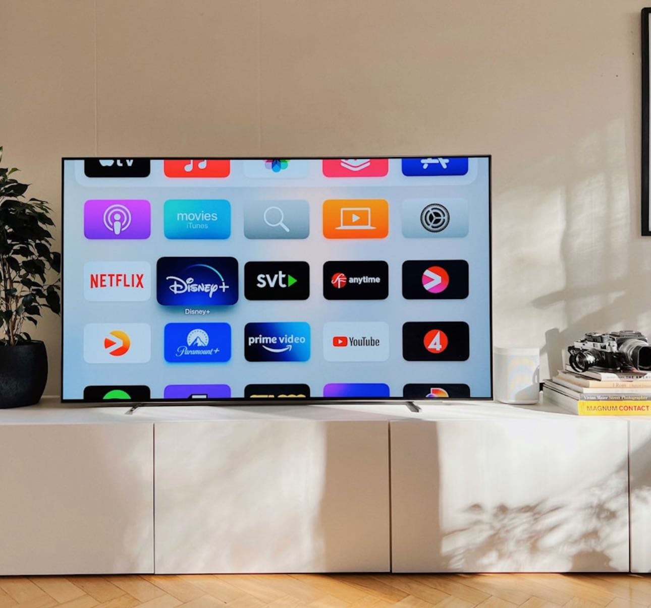 TV Show Recommendations