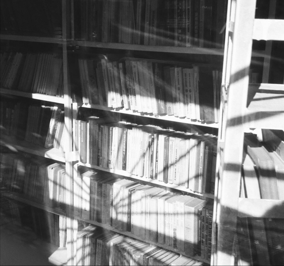 Books That I Think Everyone Should Read