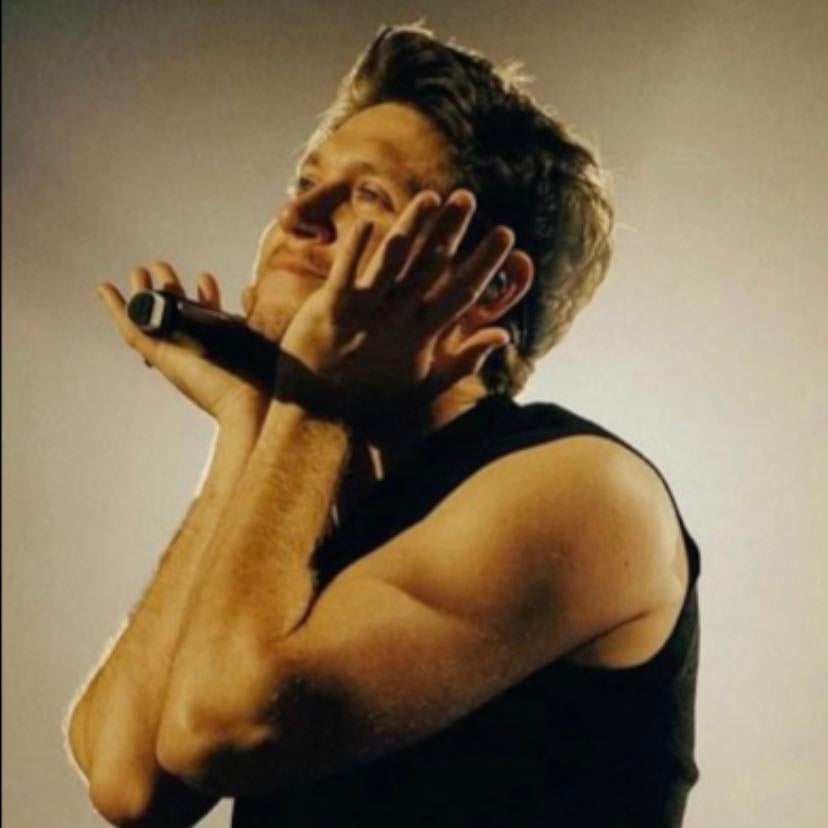 Niall Horan - Artist๐