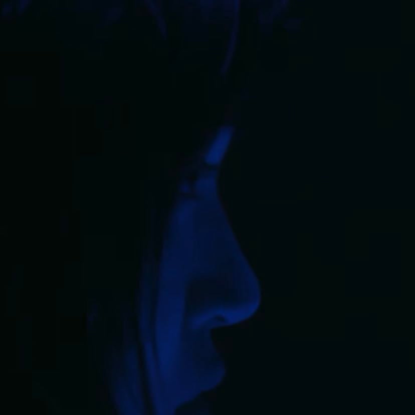 picture window - japanese breakfast