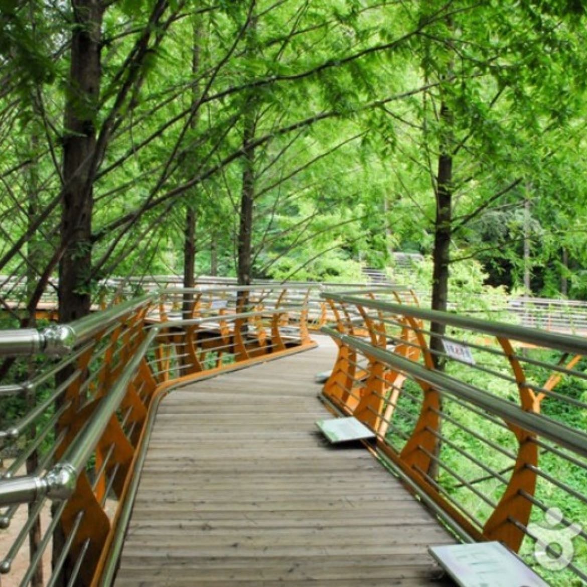 Jangtaesan Recreational Forest