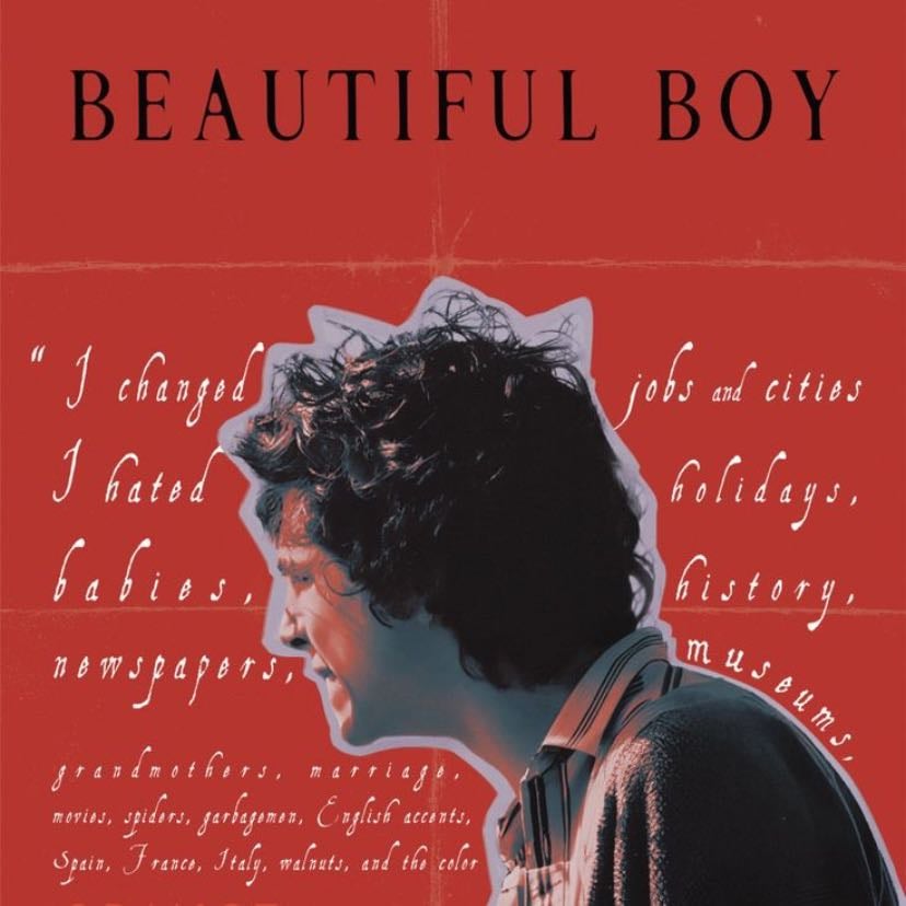 Beautiful boy ☎️ - Felix van Groeningen · 2018
