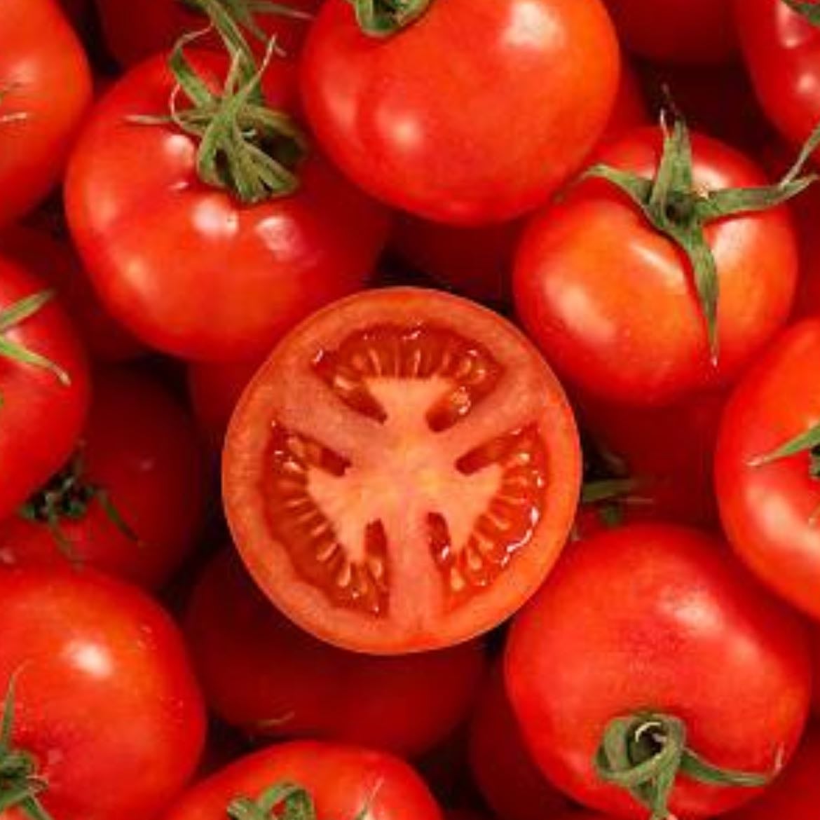 Tomate