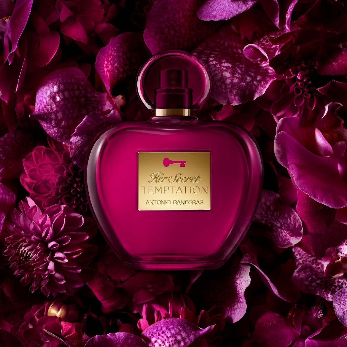 Her Secret Temptation - Antonio Banderas