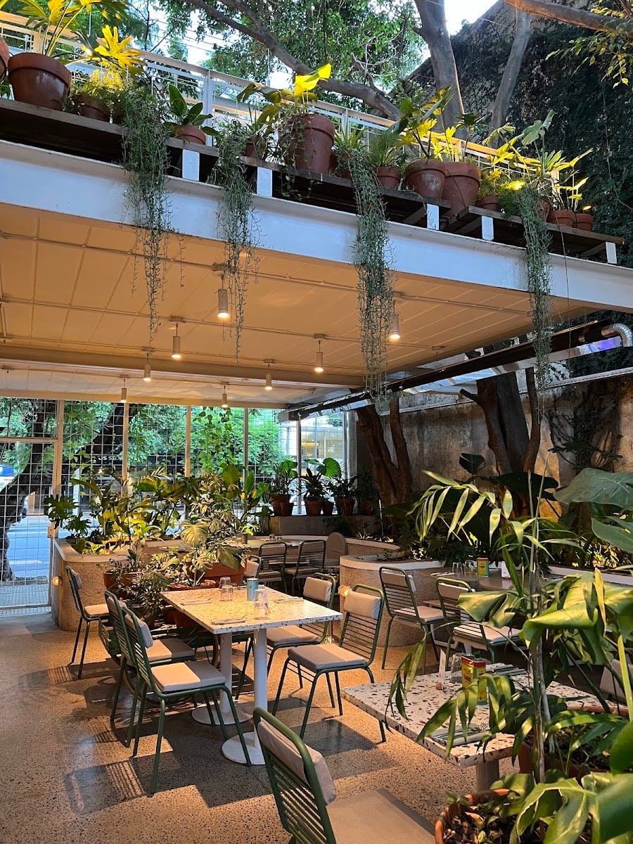 AIRE LIBRE. Jardín urbano.