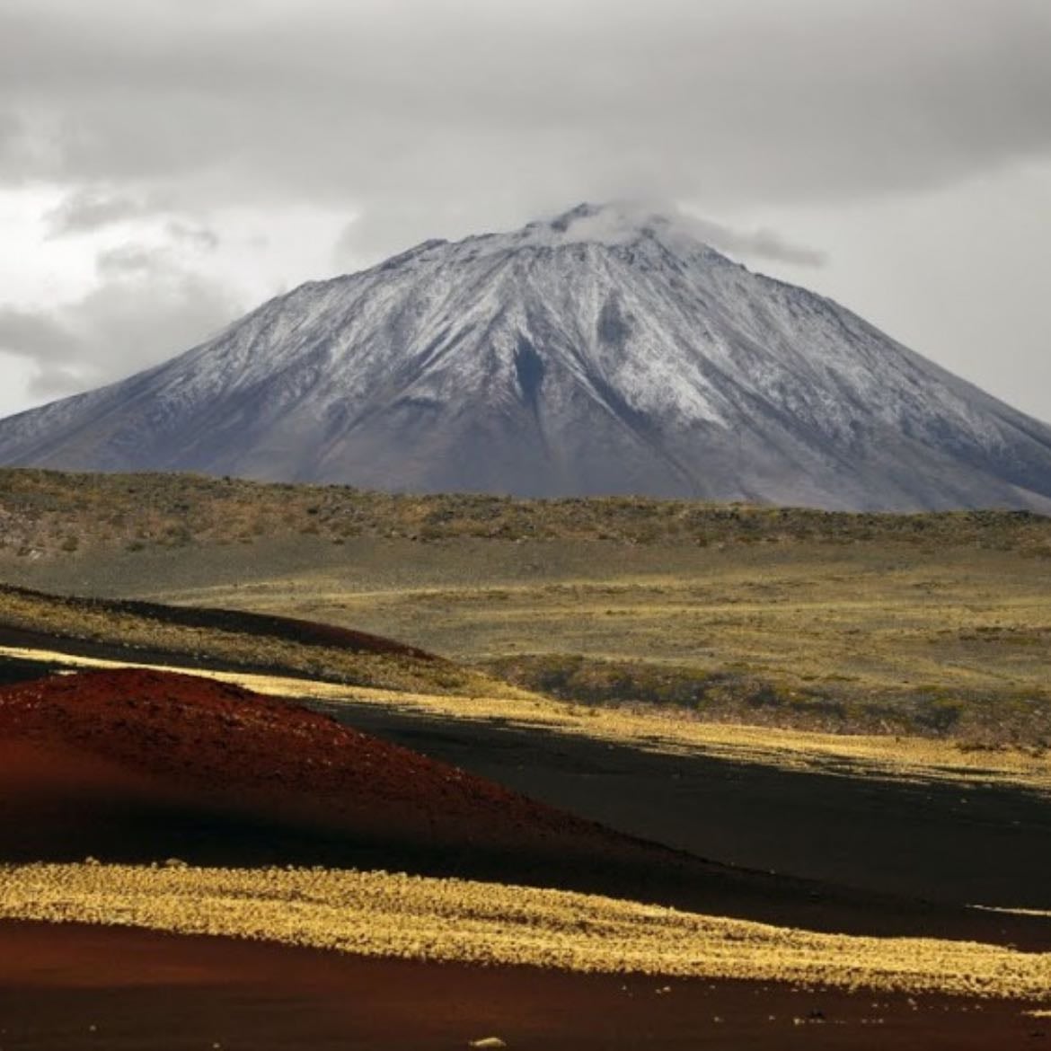 Reserva La Payunia - Mendoza