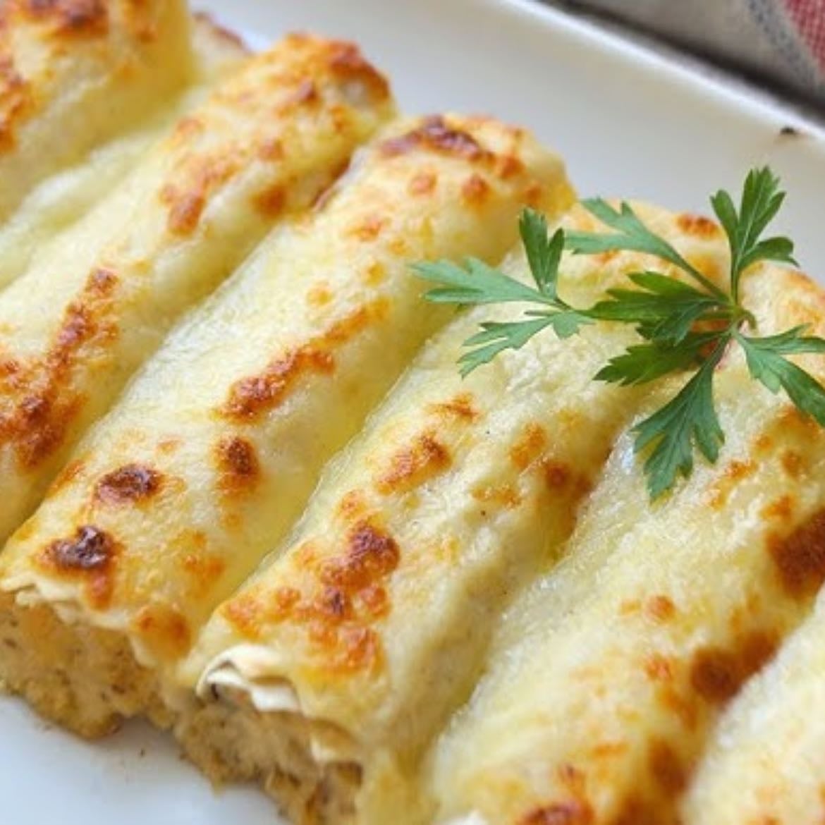 Canelones de carne con salsa blanca