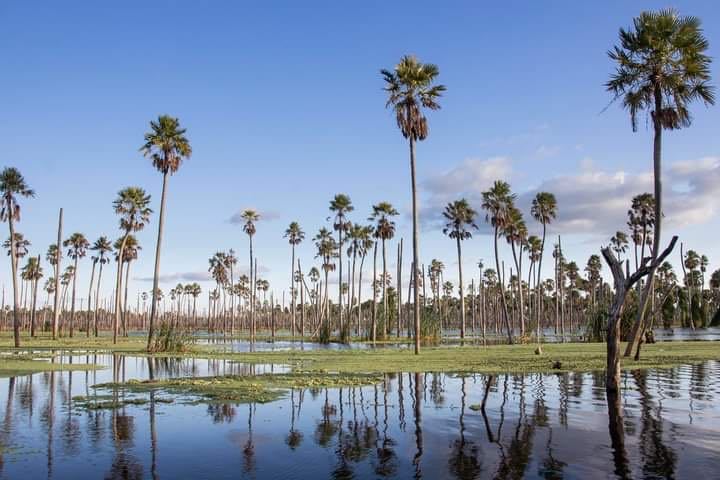 Bañado La Estrella - Formosa