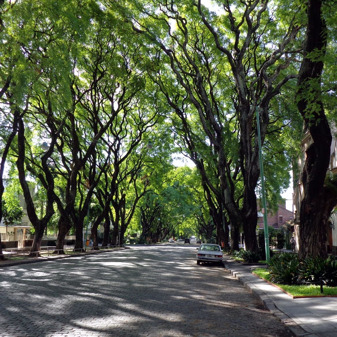 Calle Melián