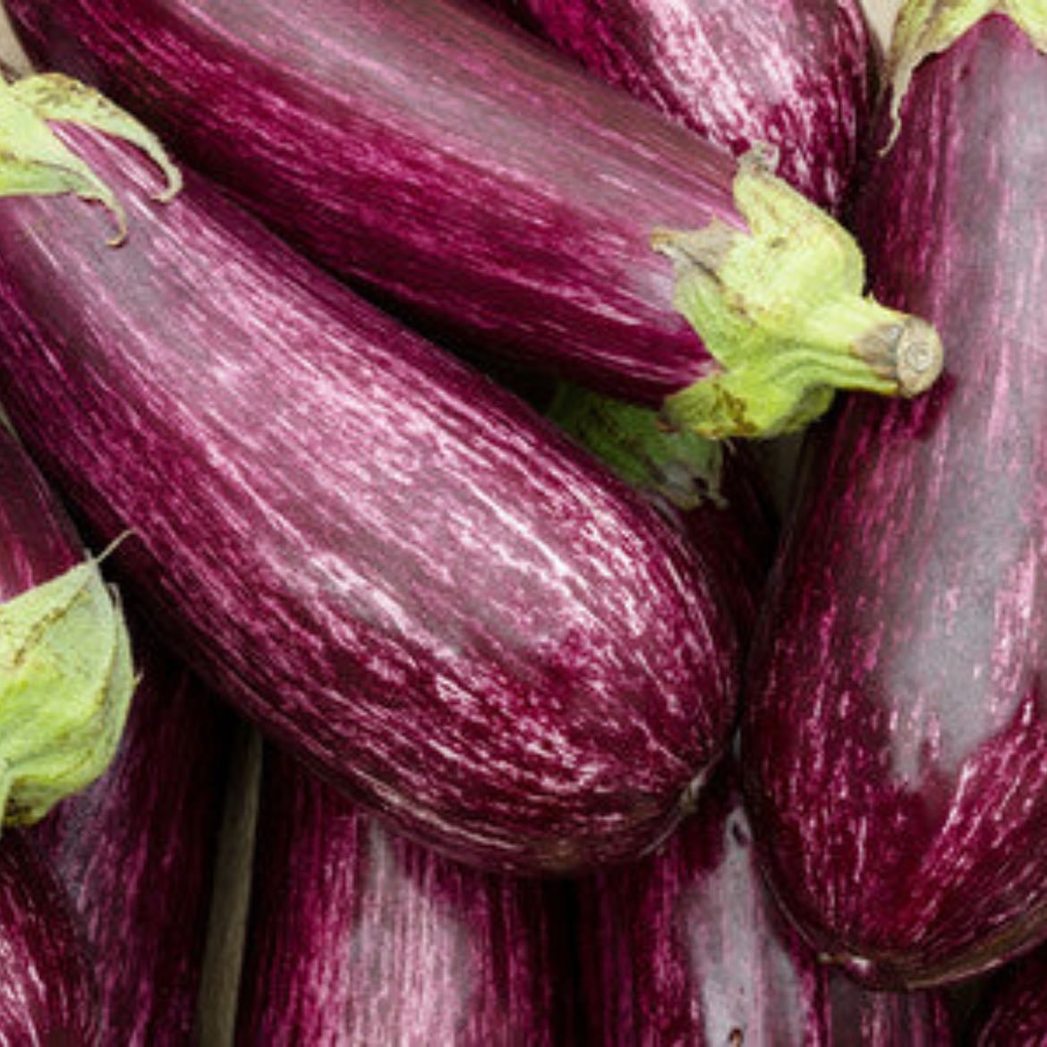 Berenjena