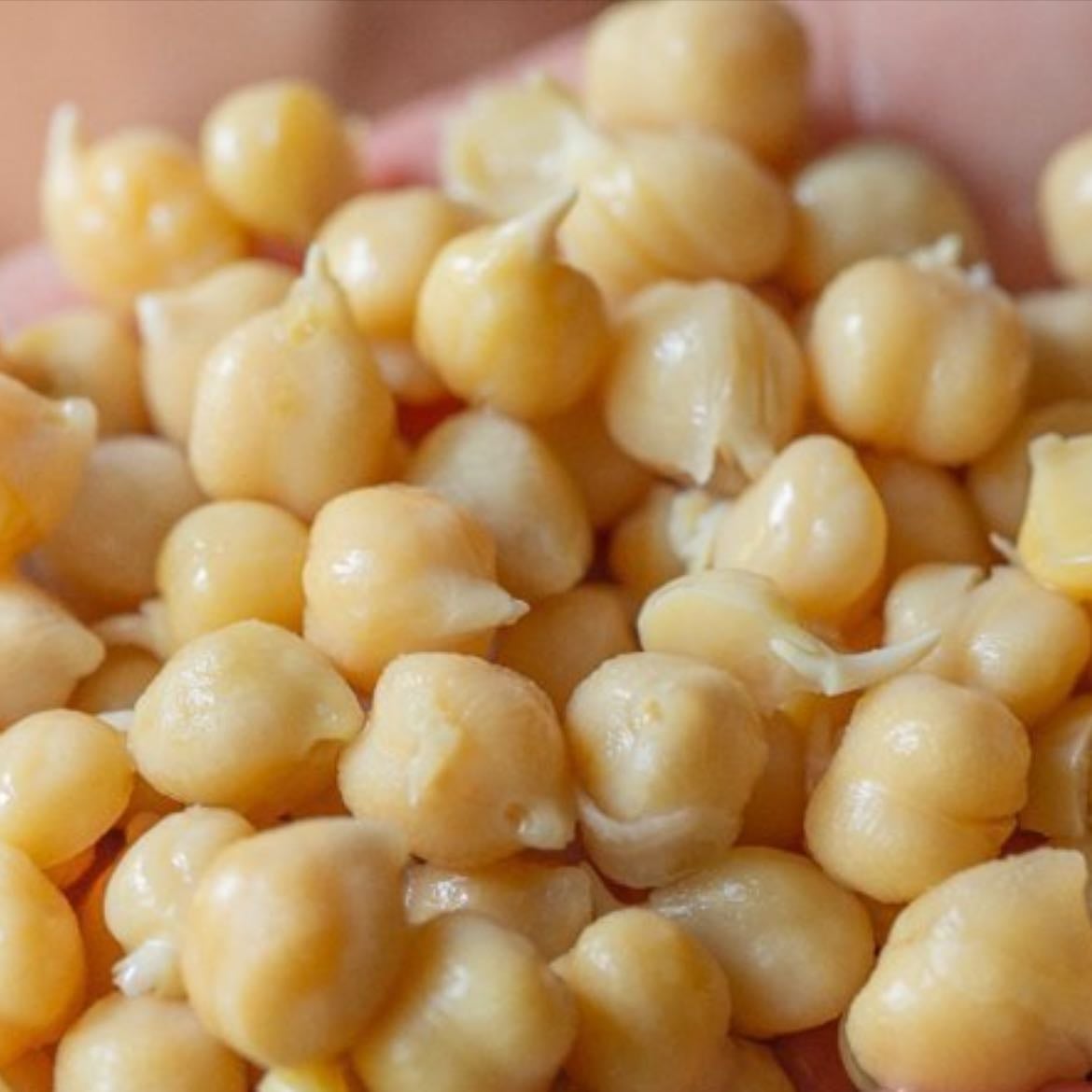 Garbanzos