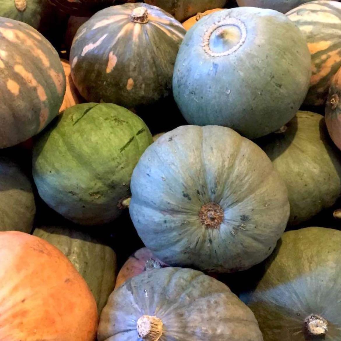 Calabaza