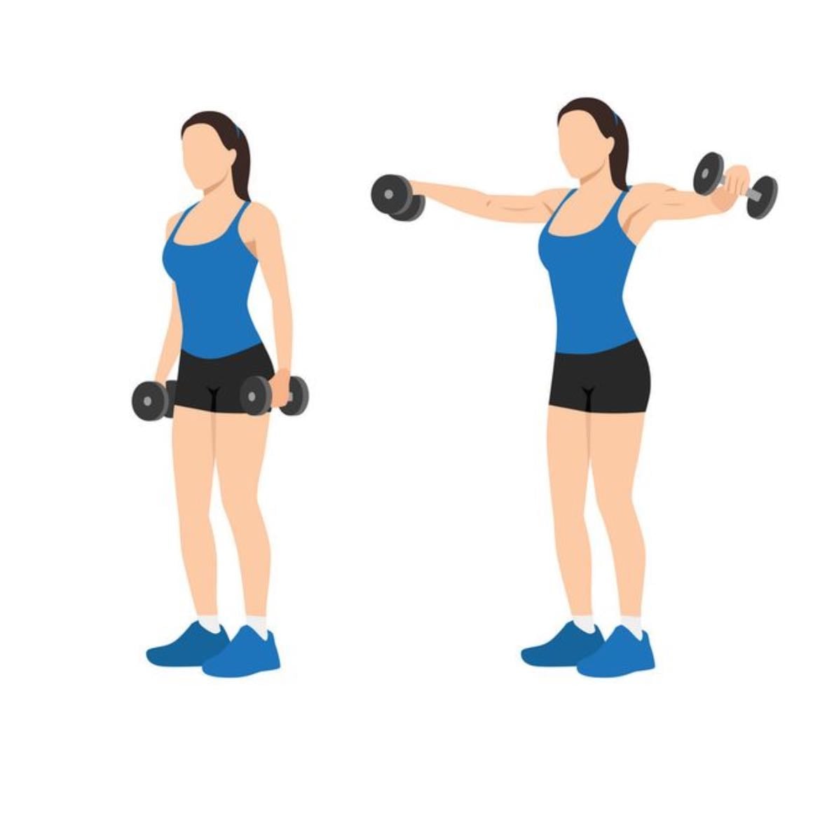 Vuelos - Laterales/delanteros/biceps