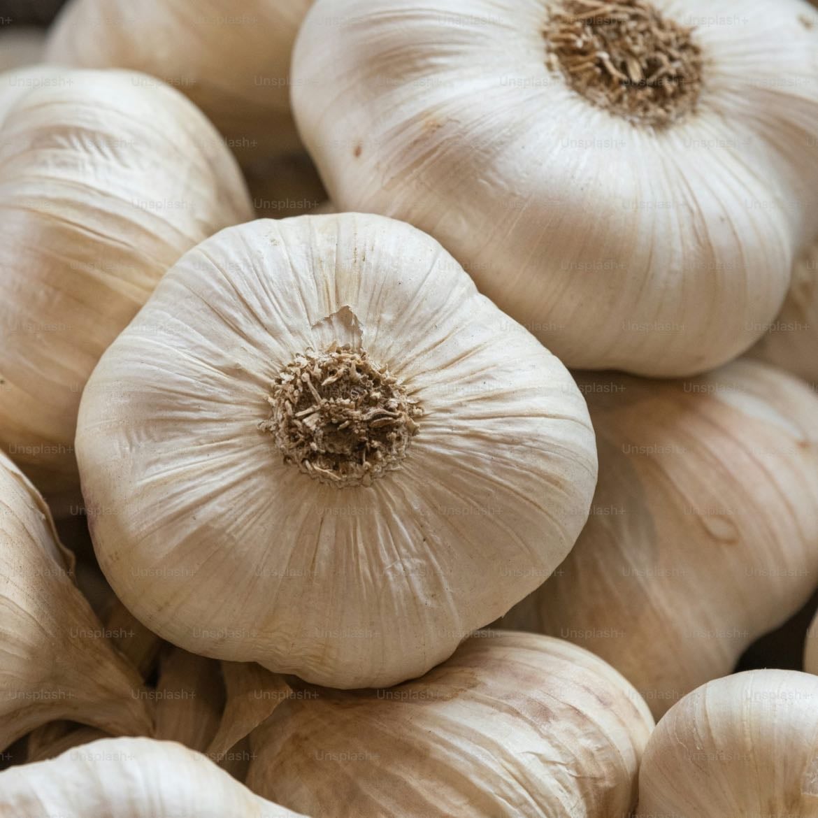 Ajo
