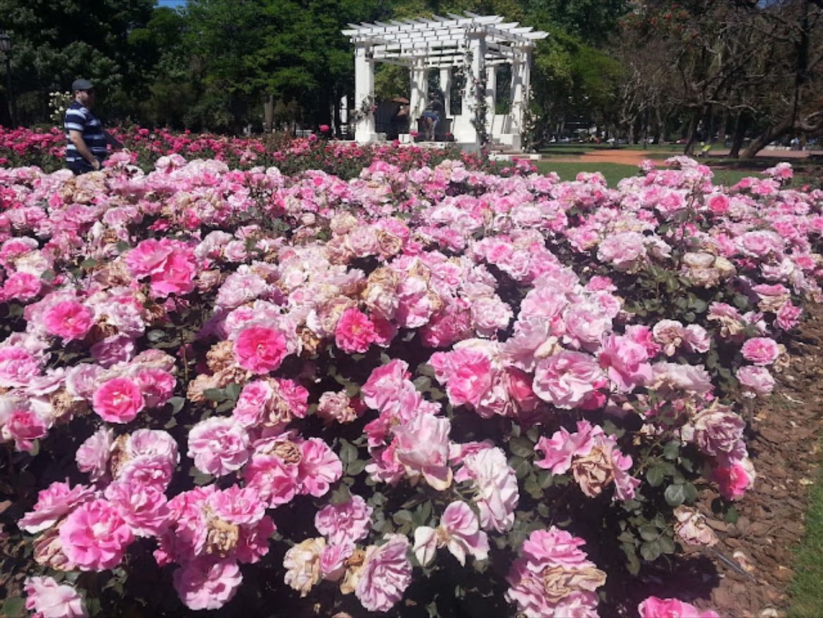 Paseo El Rosedal Garden
