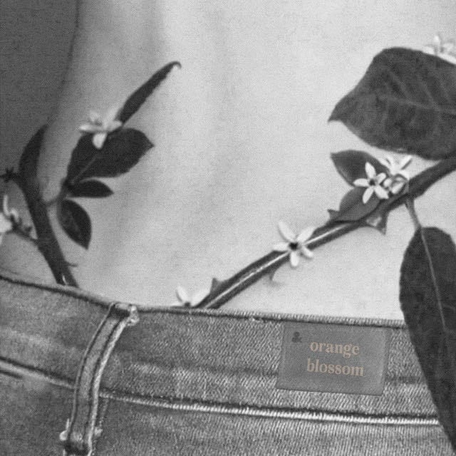 JADE - Song · Kewta