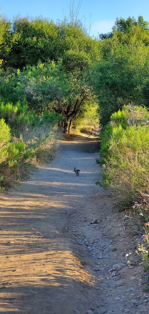 peñasquitos creek park - 2 outdoor courts