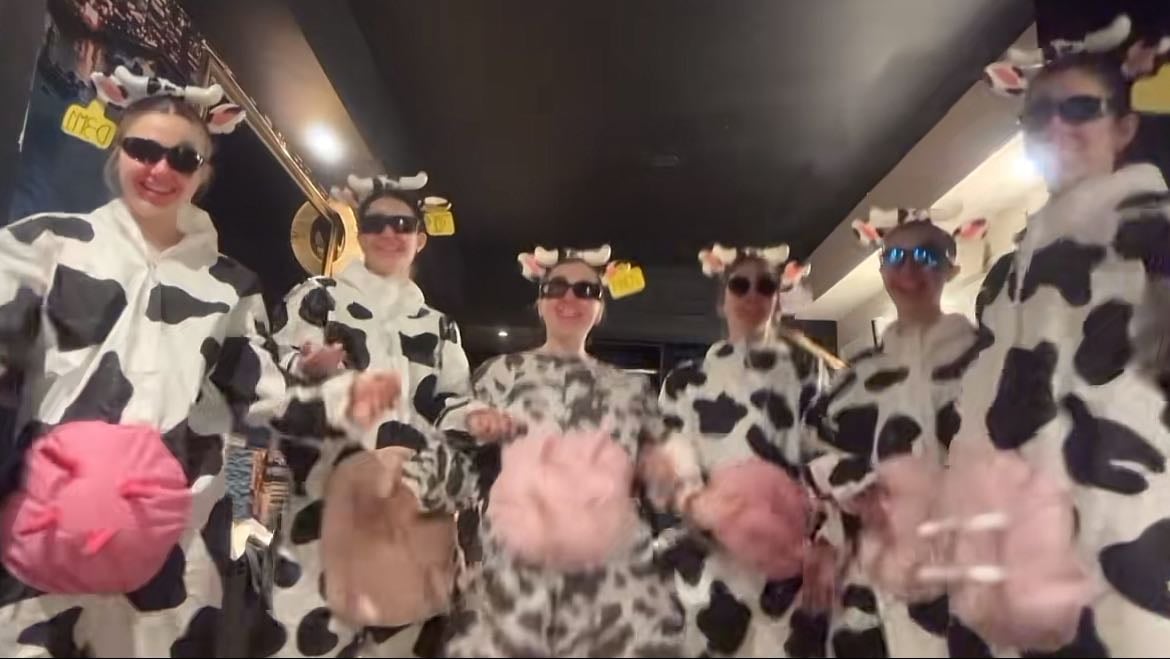 vacas