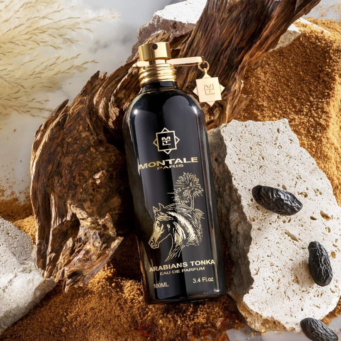 Arabians Tonka - Montale