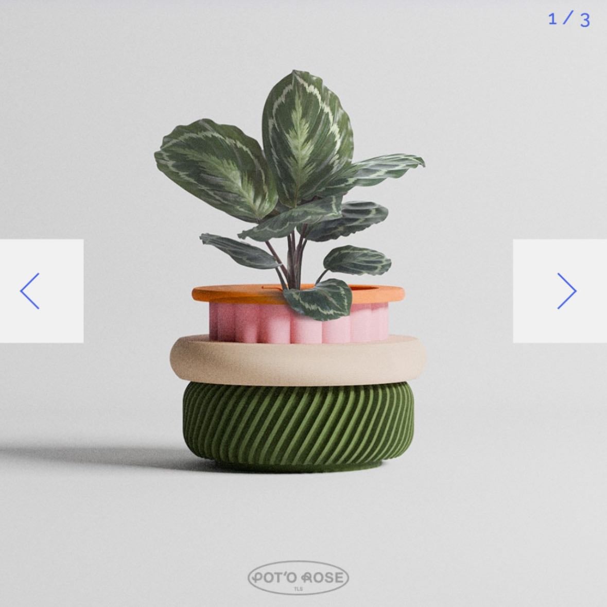 Potorose pot