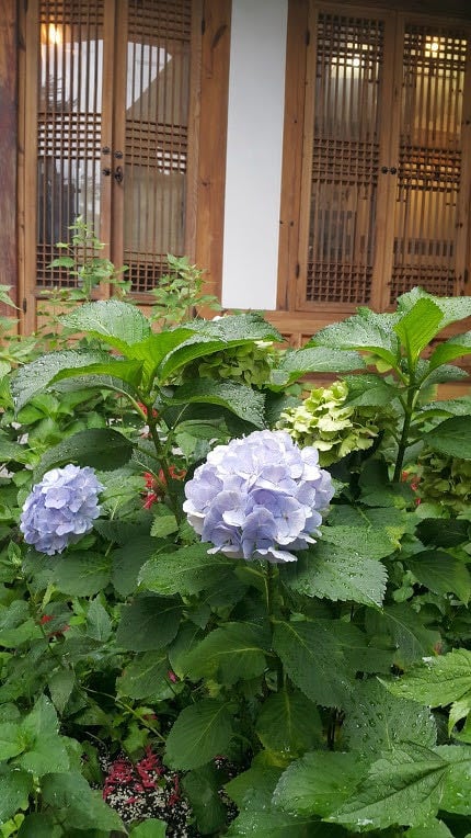 Anguk-dong, Jongno District