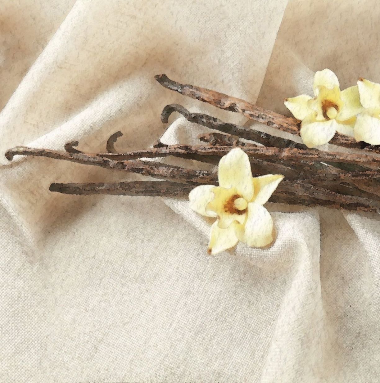 vanilla body care