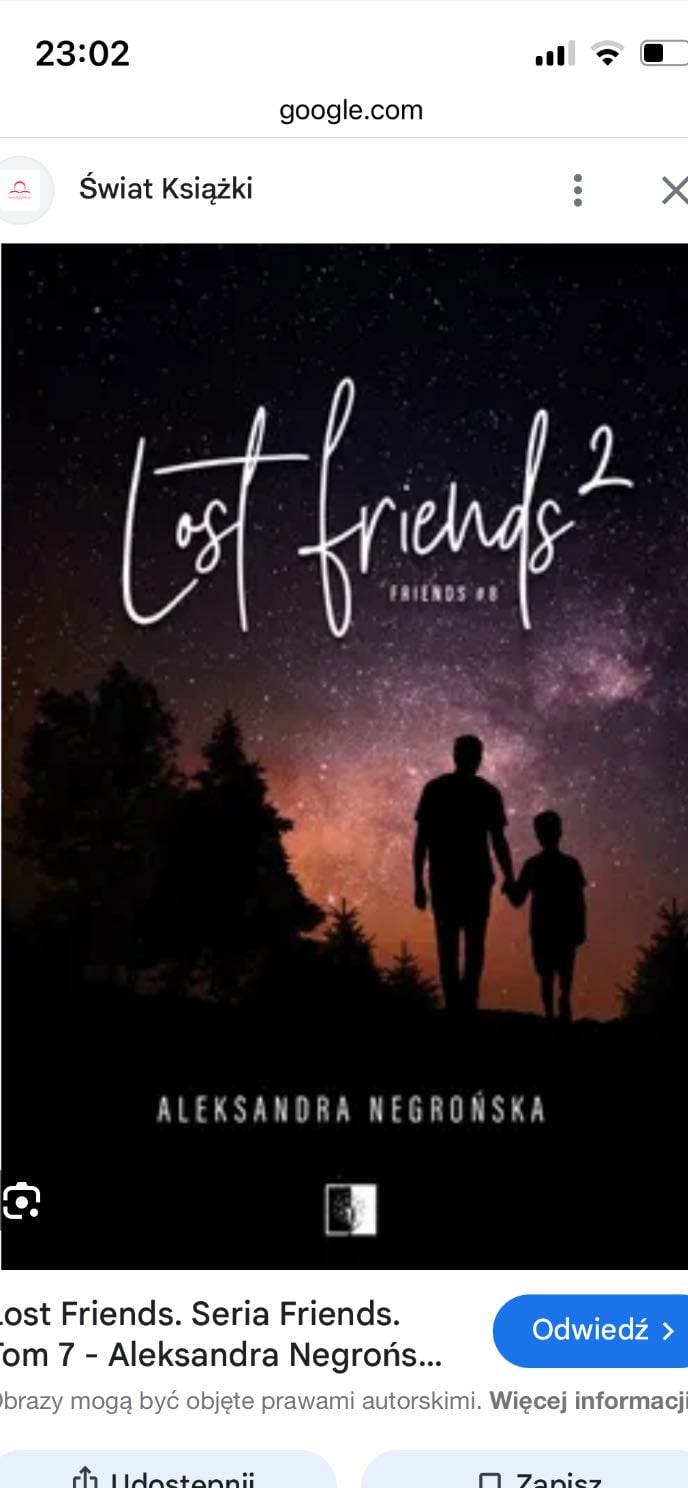 Lost Friends 2 - Aleksandra Negrońska · 2024