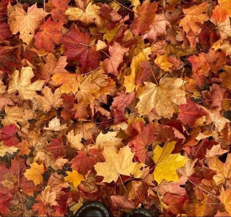 Fall wishlist - Products hypelist by Celia Kabore