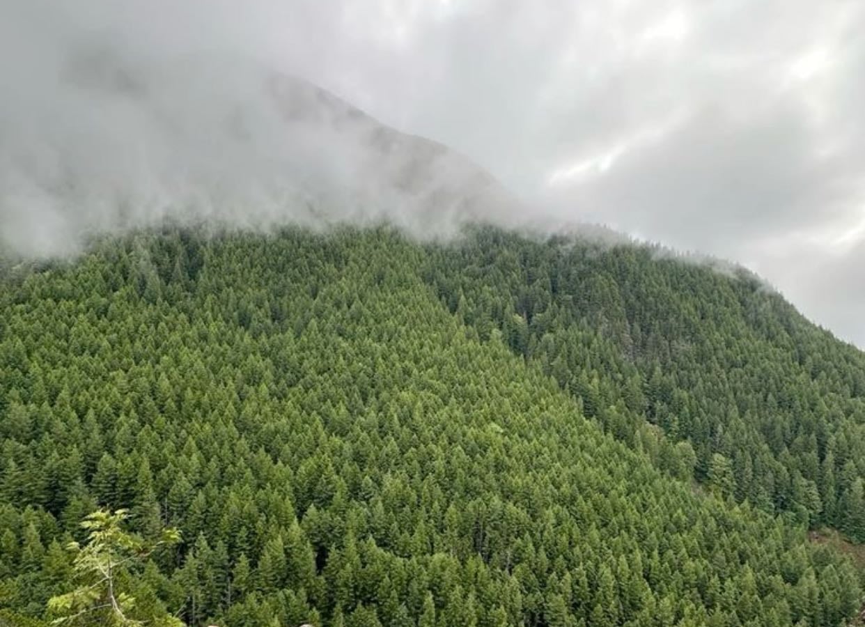 hiking