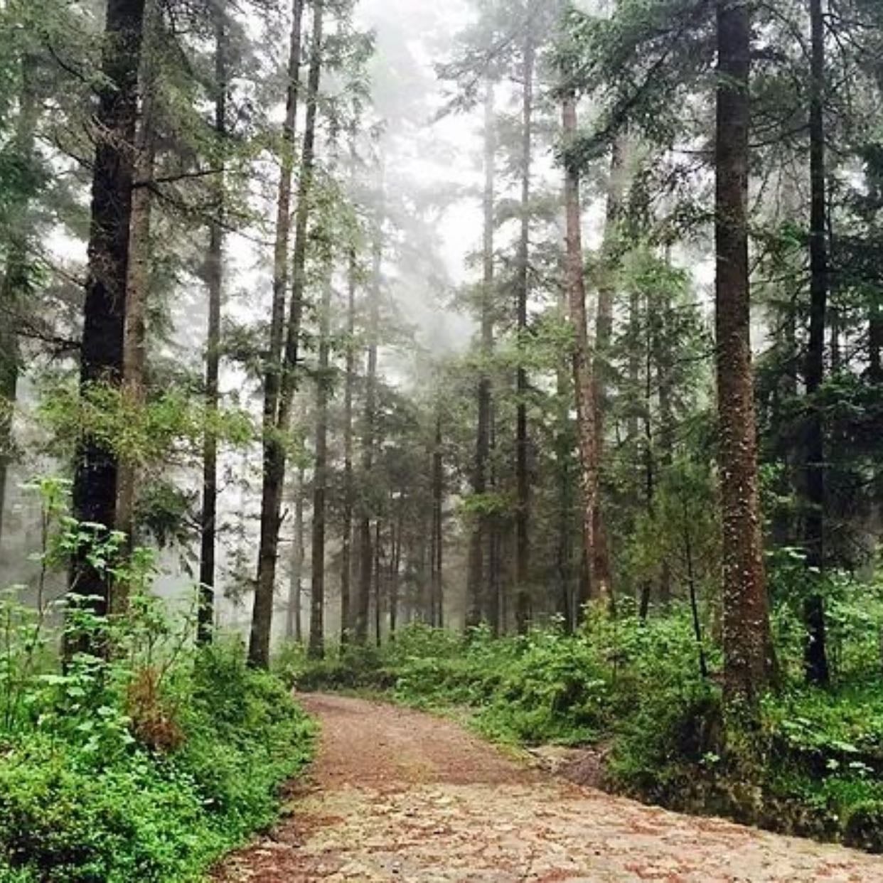 El Ajusco