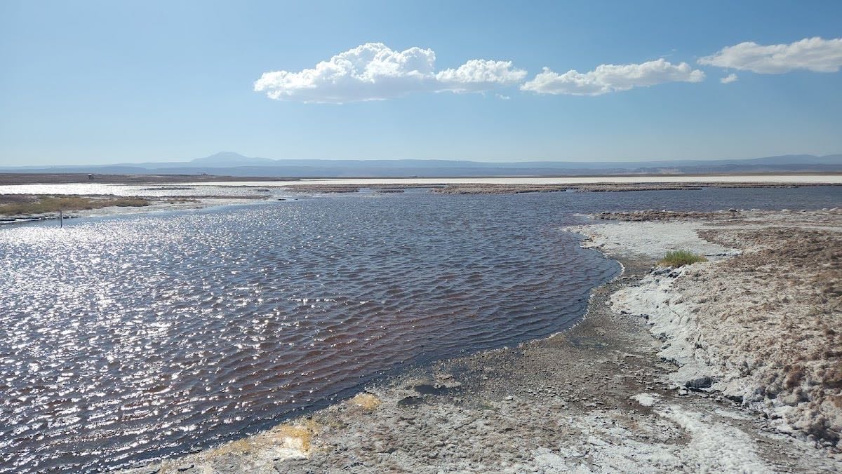 Laguna Cejar