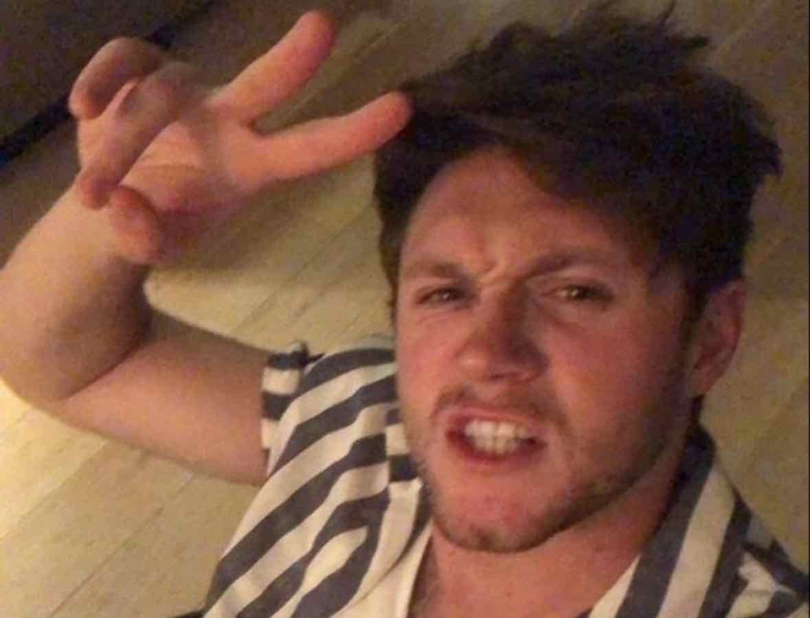 Fav niall horan songs !
