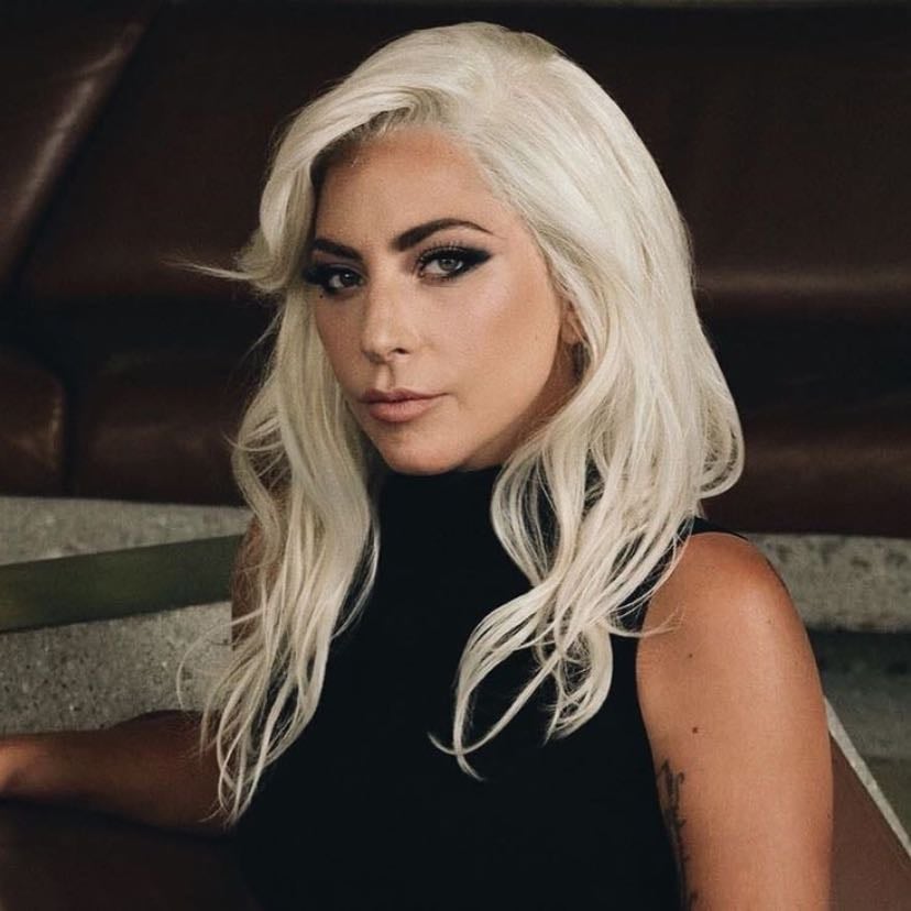 Lady Gaga - Artist