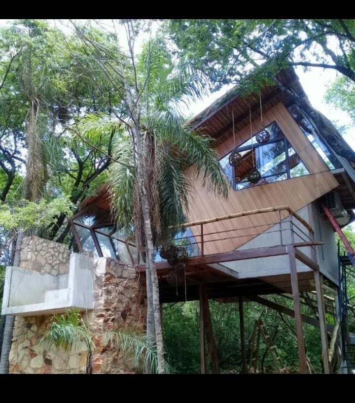 Satori Zen Club